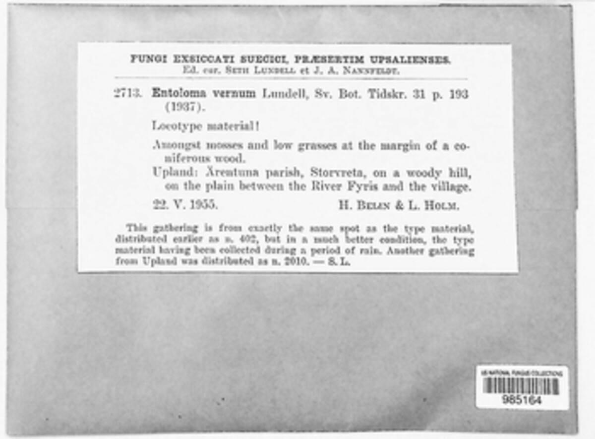 Entolomataceae image